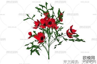 《扶桑有狐》影评精选