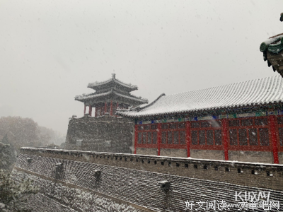 《公园日记》的观后感大全