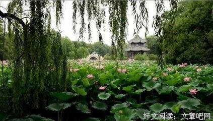 《庞德与潇湘八景》读后感100字
