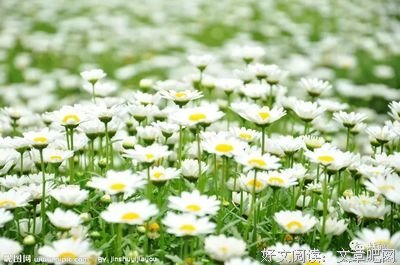 最全的《时间看得见》好段摘抄