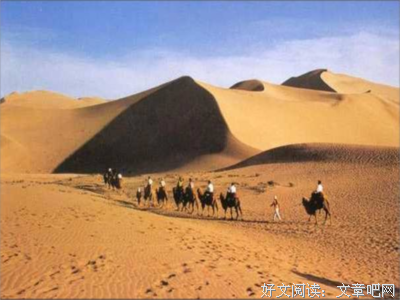 最全的《婚礼集·沙漠》经典句子大全