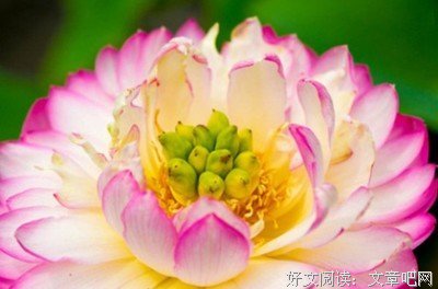 人情经典名句
