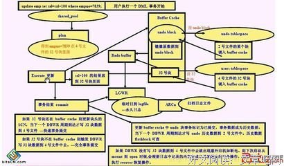 关于龙和说台的句子