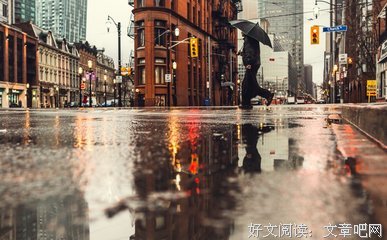 《金钱与我》影评100字