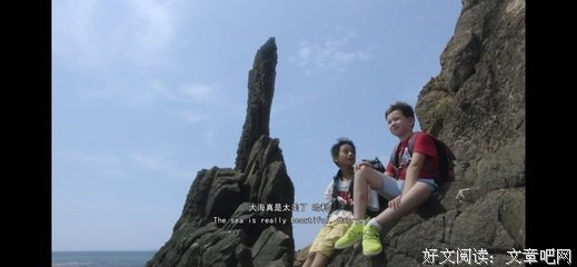 《哈利与莱生》经典观后感有感
