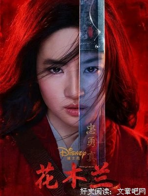 《花木兰》好看吗？经典观后感锦集