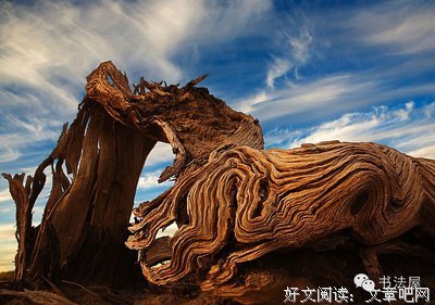 道听途说的名言_关于道听途说的名言