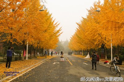 以真凡的那如能之才句子大全