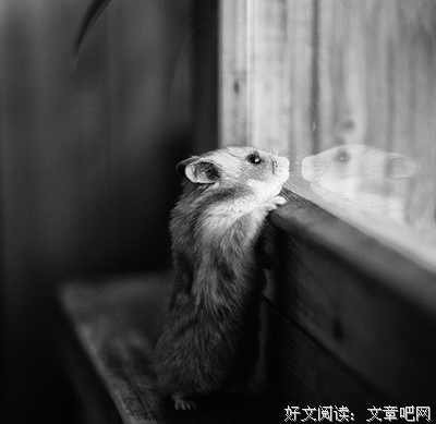 悟句子大全
