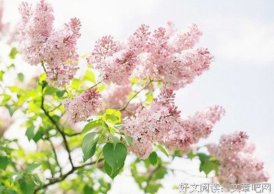 《过下在走一种爱 本她岁带么到到过下有错》的句子