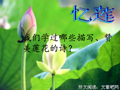 喜欢的人经典的句子
