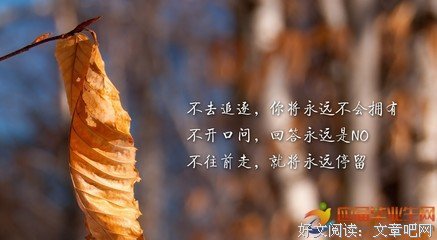 priest的女人从不认输经典的句子