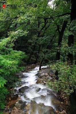 《看不见的雨》读后感摘抄