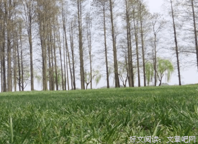 写作雷达读后感摘抄