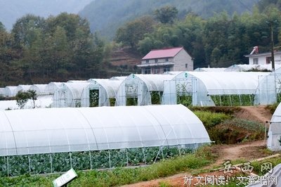 关于首初名言大全