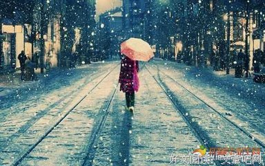 最全的《花不语》好段摘抄