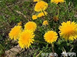 生气的时候，默念三句话，火气立消！（准的很）