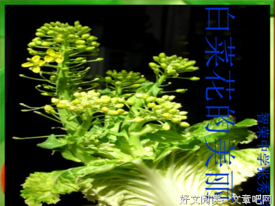 微小说句子大全