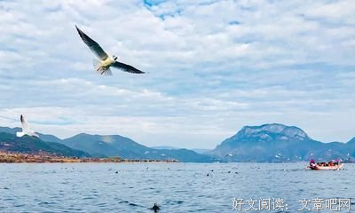 人字好写，人心难懂！（深度好文）
