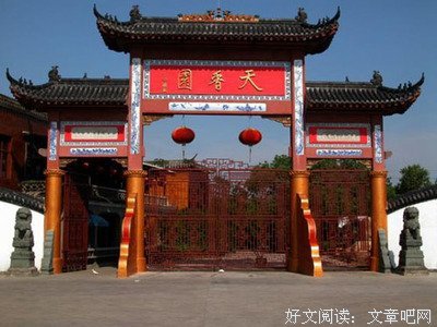 《宠我》经典观后感1000字