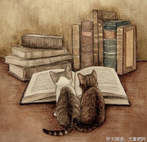 每本书都是一个有趣的灵魂