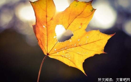 秋深处，唯愿岁月静好