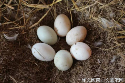 关于不相上下的语句