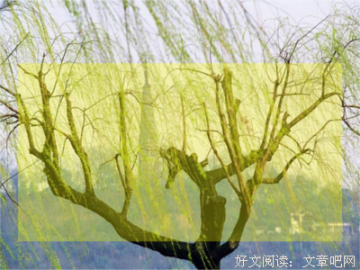 关于草长莺飞的名句摘抄
