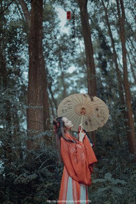 君心似我心经典的句子
