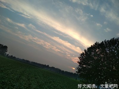 有关巍，想对你说的句子