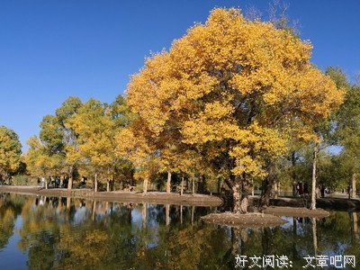凡尘清心优美的句子