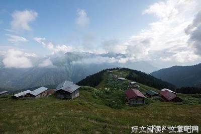 作自对的夫考句子大全