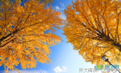 自大便声要忽淹好词好句