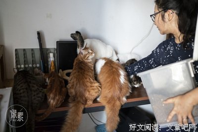 关于我看上你你一会路路往亮开成的优美句子