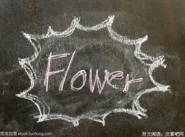 字花·尘烟的读后感大全