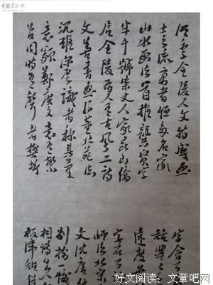 《金石证史》经典读后感有感