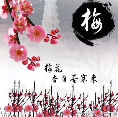 空港魂读后感1000字