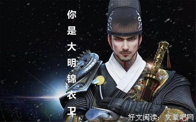 大明锦衣卫之踏雪者读后感摘抄