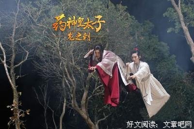 《药神皇太子：龙之刺》影评摘抄