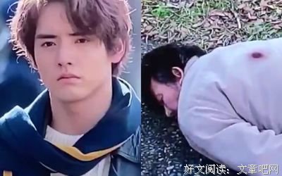 《科搜研之女 第19季》的影评大全