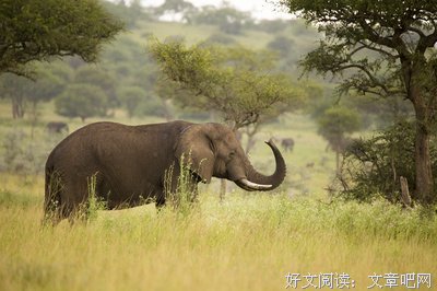 《丹尼尔的脸》好看吗？经典影评锦集