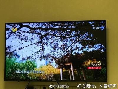 《故园长歌》经典影评1000字