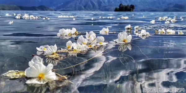 《水性杨花》观后感精选