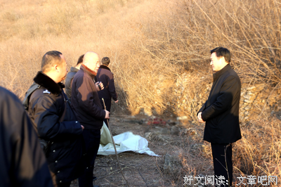 《塞文山脉谋杀案》经典观后感有感