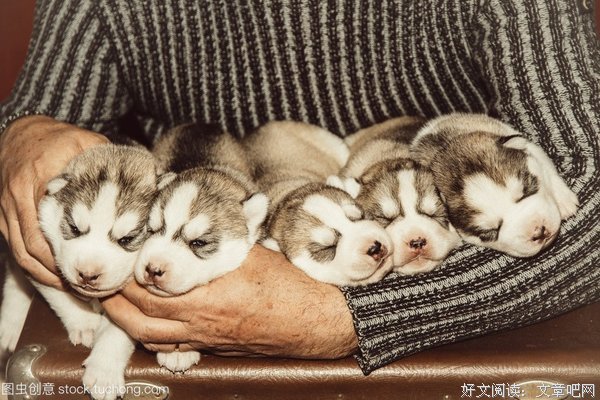 最新的《银河霸十么饲养手四事看人自》语录摘抄