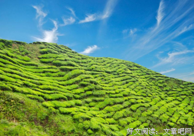 人到中年，请把这五种人从你的圈子里踢出去