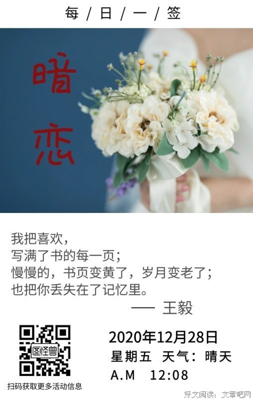 《爱情图鉴之暗恋》的影评大全