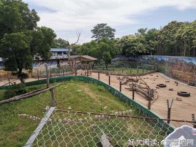 《带我去远方》经典观后感有感