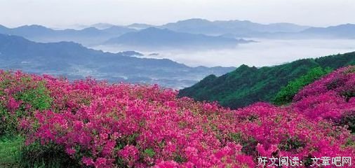 对你说的小情子而作句子大全