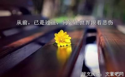 一禅小和尚经典语录